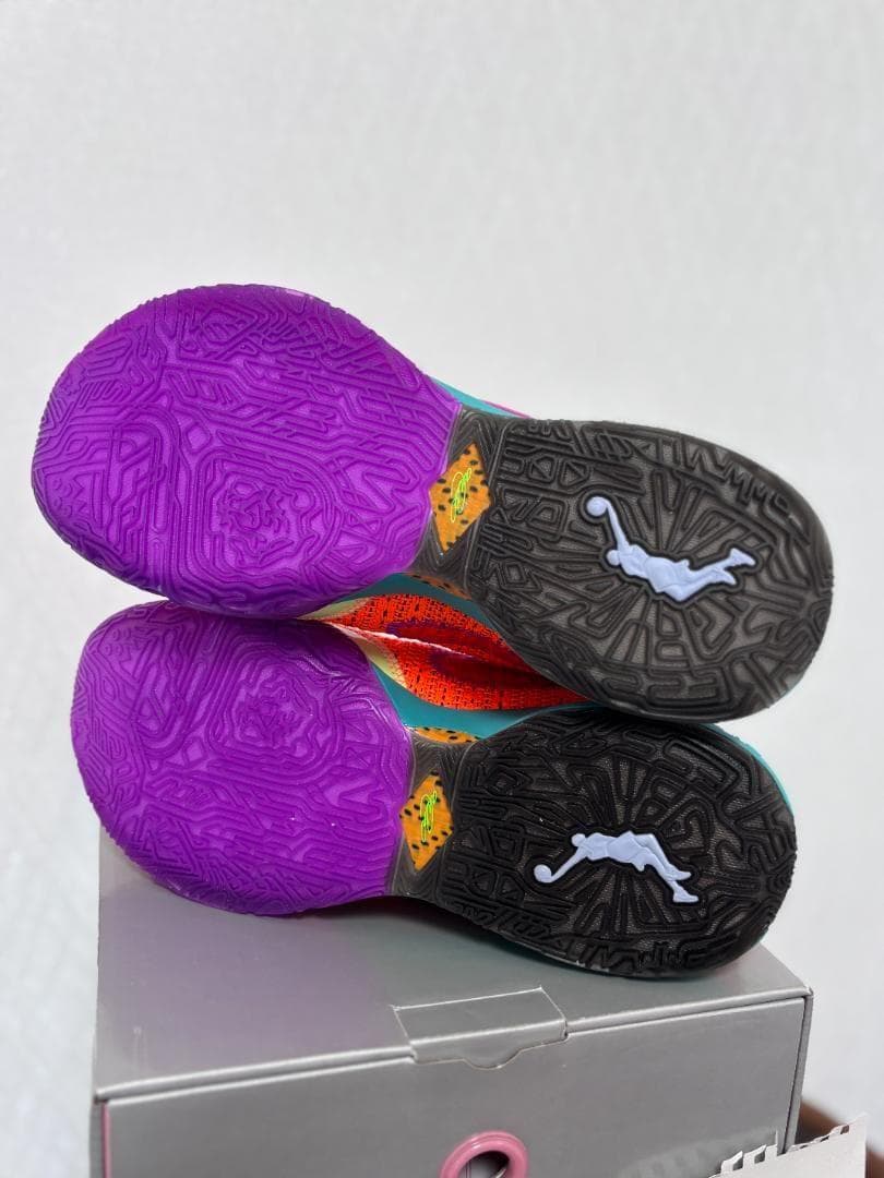 NIKE レブロン 20 DJ5422-800 新品 26cm／26.5cm