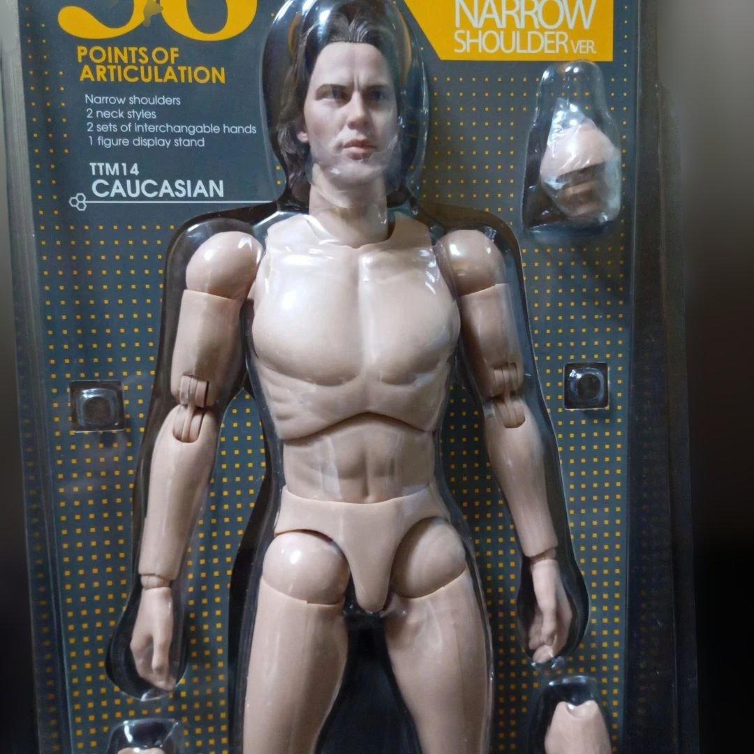 ホットトイズトゥルータイプ1/6 白人男性素体 TTM14 ナローショルダー
