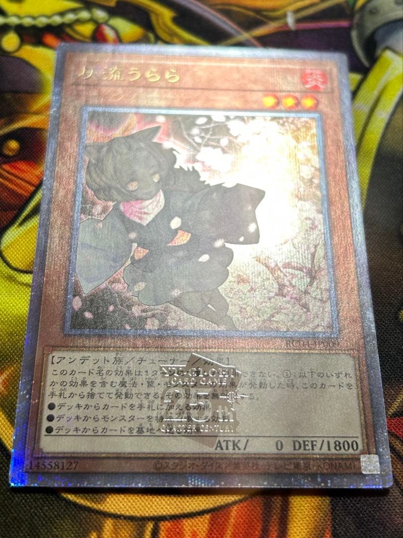 灰流うらら 25th クオシク