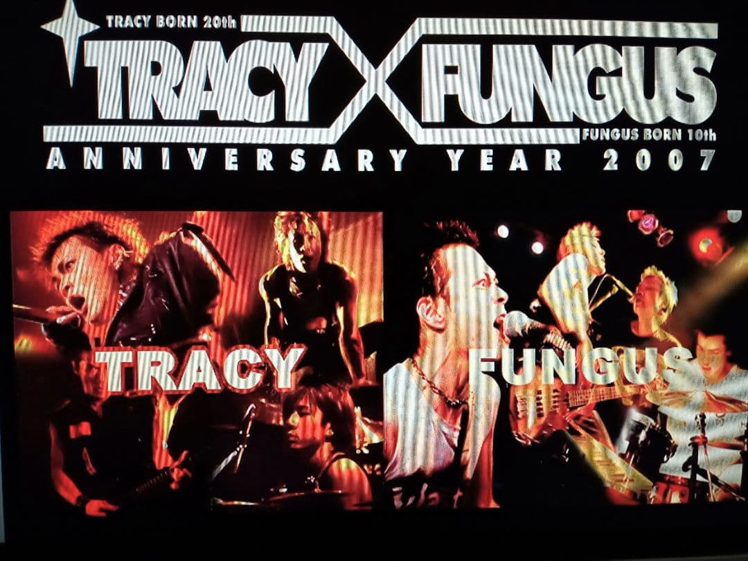 TRACY.FUNGUS 完売間近！！
