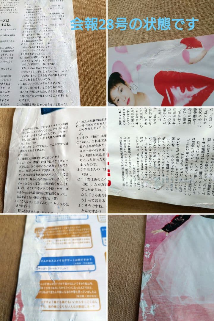 森高千里　ジュリア　Vol.25〜56 ファンクラブ会報