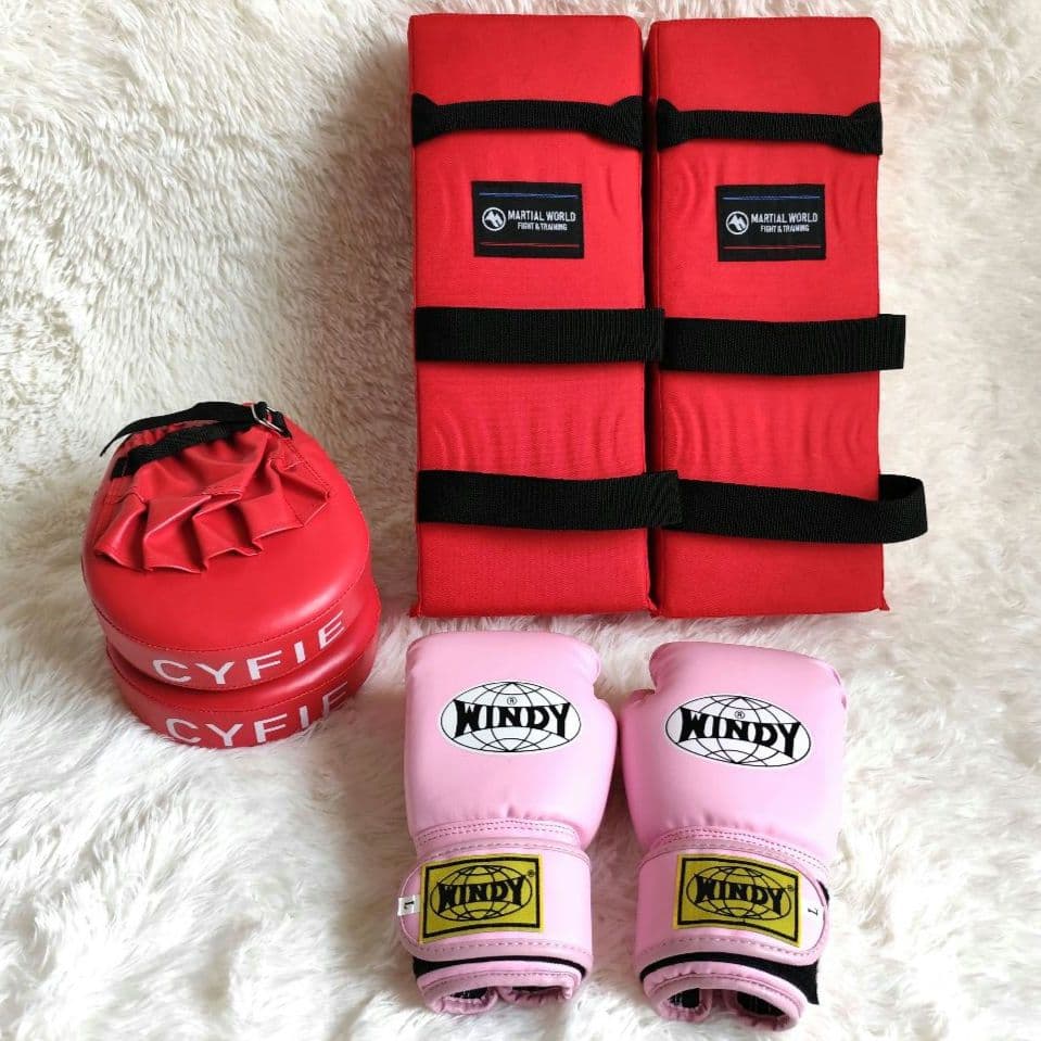 WINDY グローブ レディース キッズ L パンチ キック ミット まとめ売り