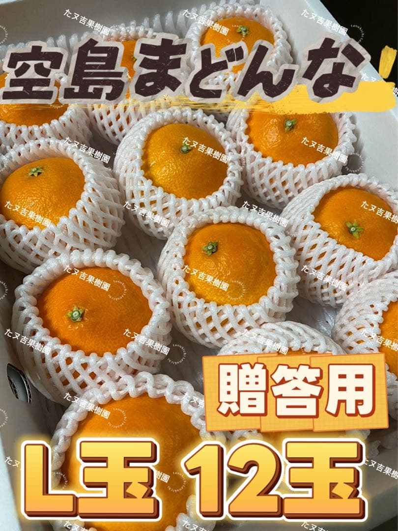 愛媛県産!!愛果28号(特選)L玉 12玉 空島まどんな