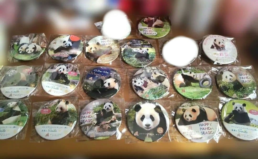 アドベンチャーワールド　パンダ　缶バッジ