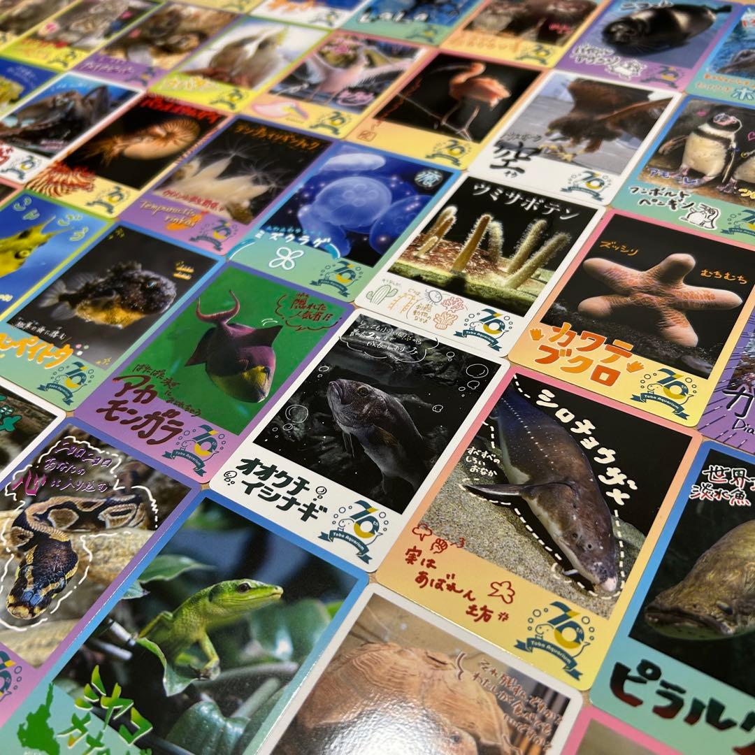 鳥羽水族館　コレカ　ノーマルカード コンプリート　70周年記念