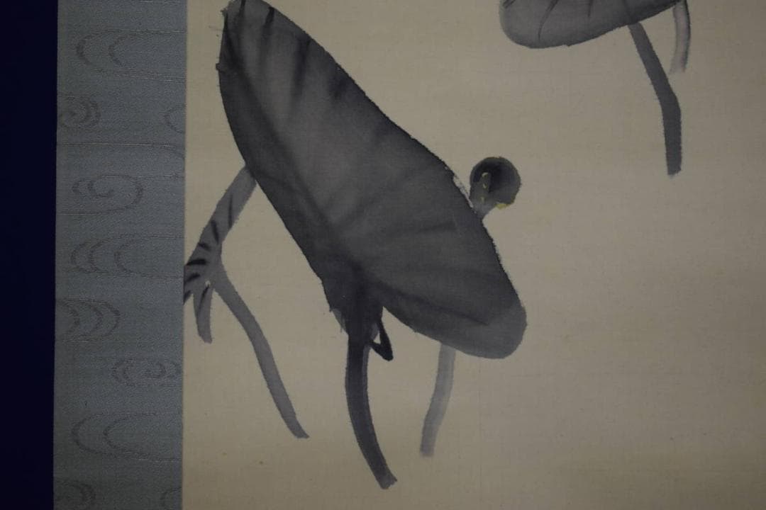 真作/庭山耕園/河骨図/コウホネ図/桐題箱付/布袋屋掛軸HI-266