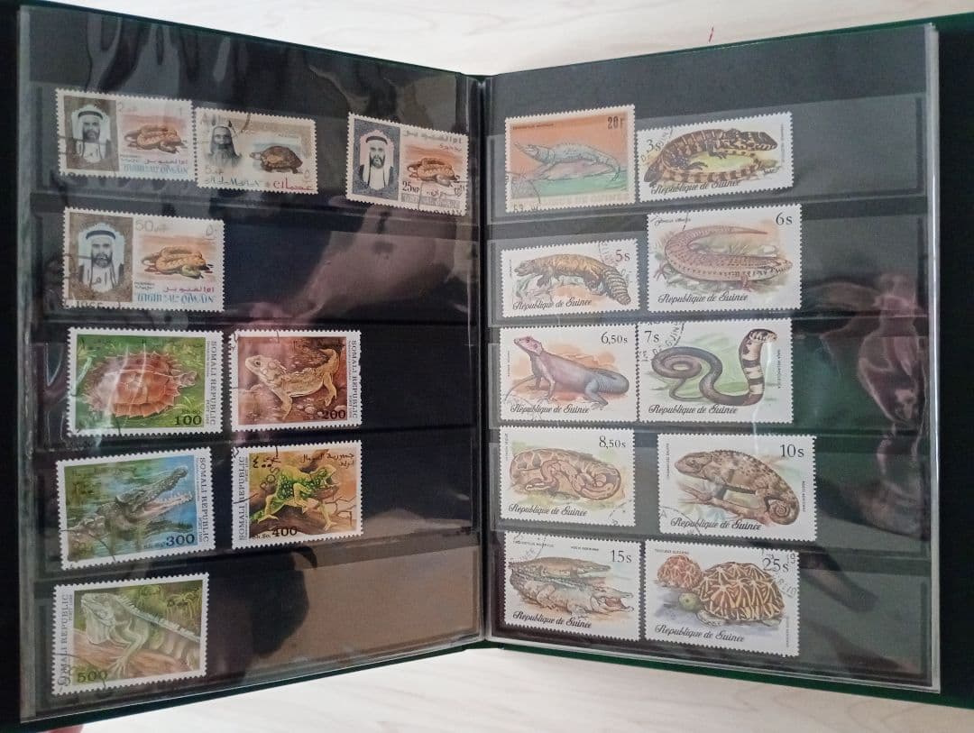 希少31まで限定出品！手彫竜銭ヘビ爬虫類トカゲ　テージー切手アルバムまとめ売り