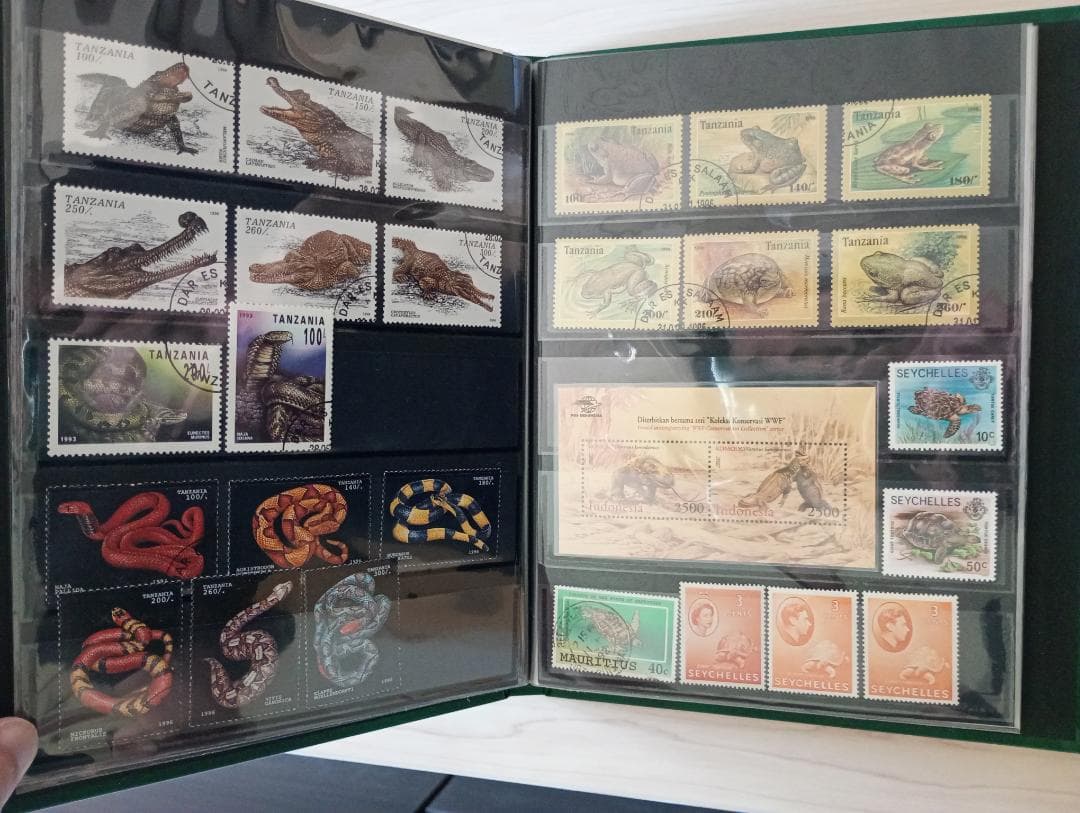 希少31まで限定出品！手彫竜銭ヘビ爬虫類トカゲ　テージー切手アルバムまとめ売り