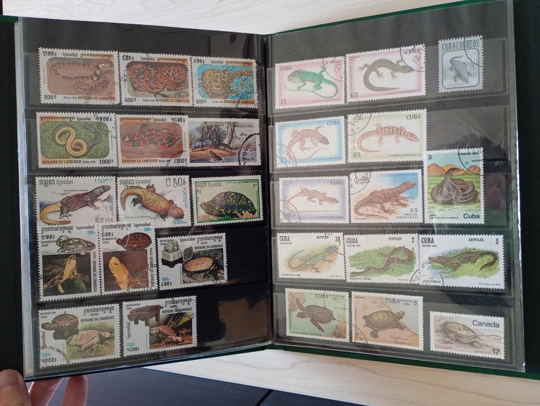 希少31まで限定出品！手彫竜銭ヘビ爬虫類トカゲ　テージー切手アルバムまとめ売り