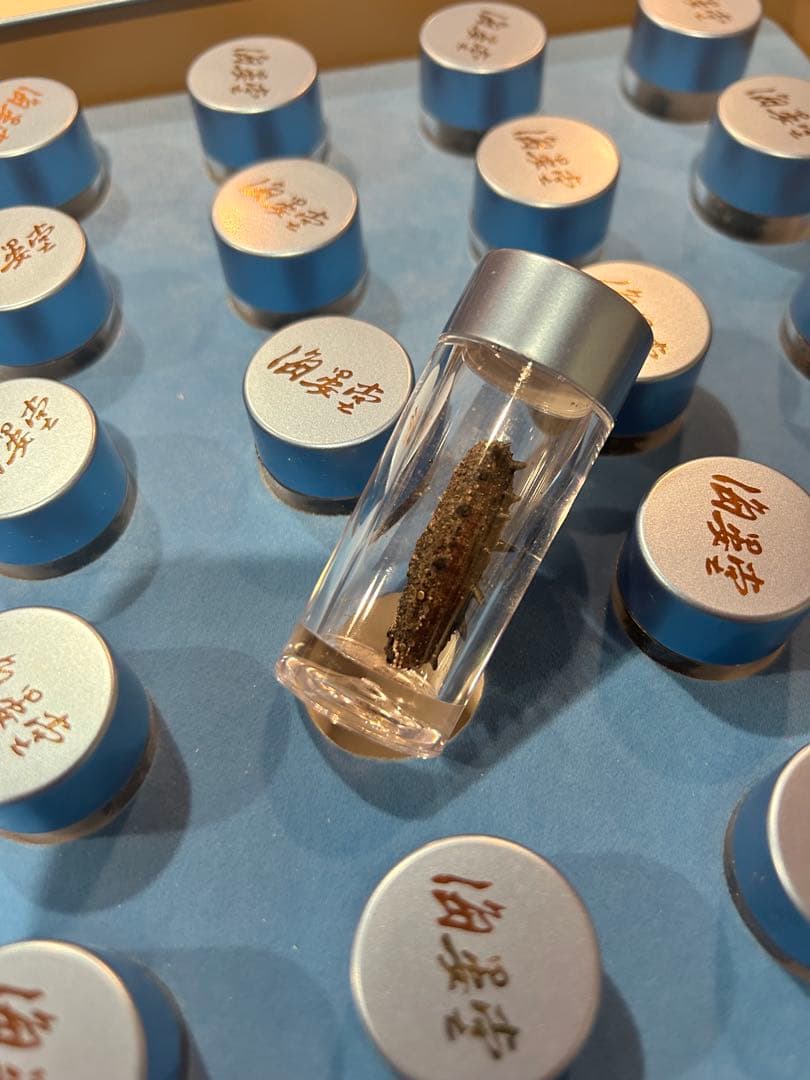 乾燥なまこ　干しなまこ