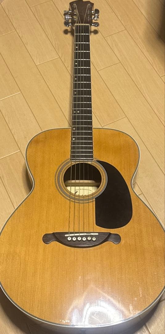 James JF 350 ジェームス アコースティックギター