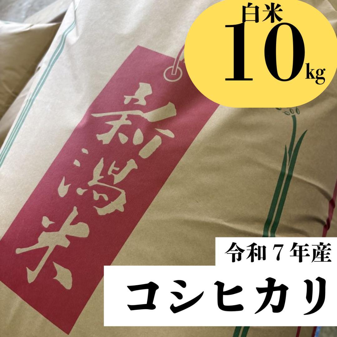 新潟県産コシヒカリ　白米10㎏