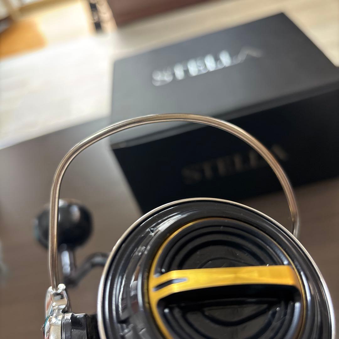 シマノ　19ステラ　SW8000HG