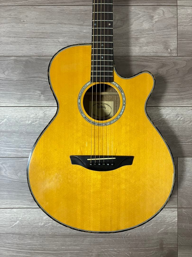 Headway エレアコTF-1000 トップスプルース　レア　ハードケース有