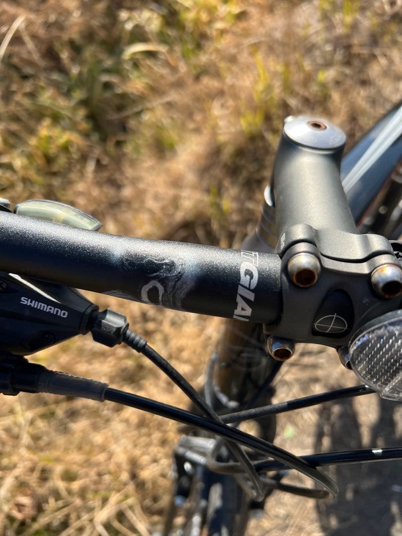 専用ページ名古屋市内お届け無料手渡し希望GIANT クロスバイク ブラック