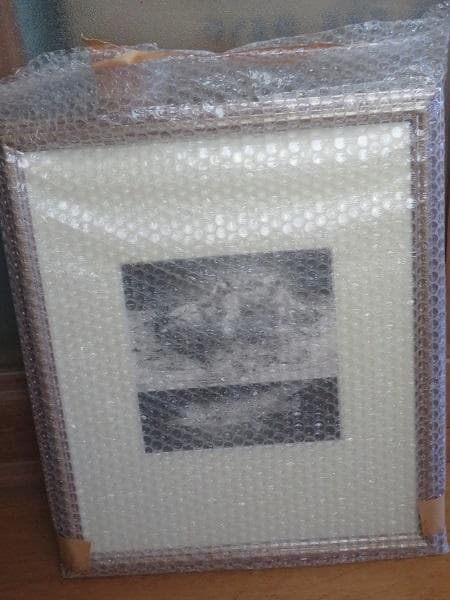 建石修志　鉛筆画　1点もの　画集にも採録　額装　箱入り　青木画廊購入