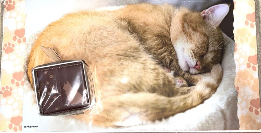 トレカアイテムくじ　猫これくしょん　2点セット　ラストワン　B賞