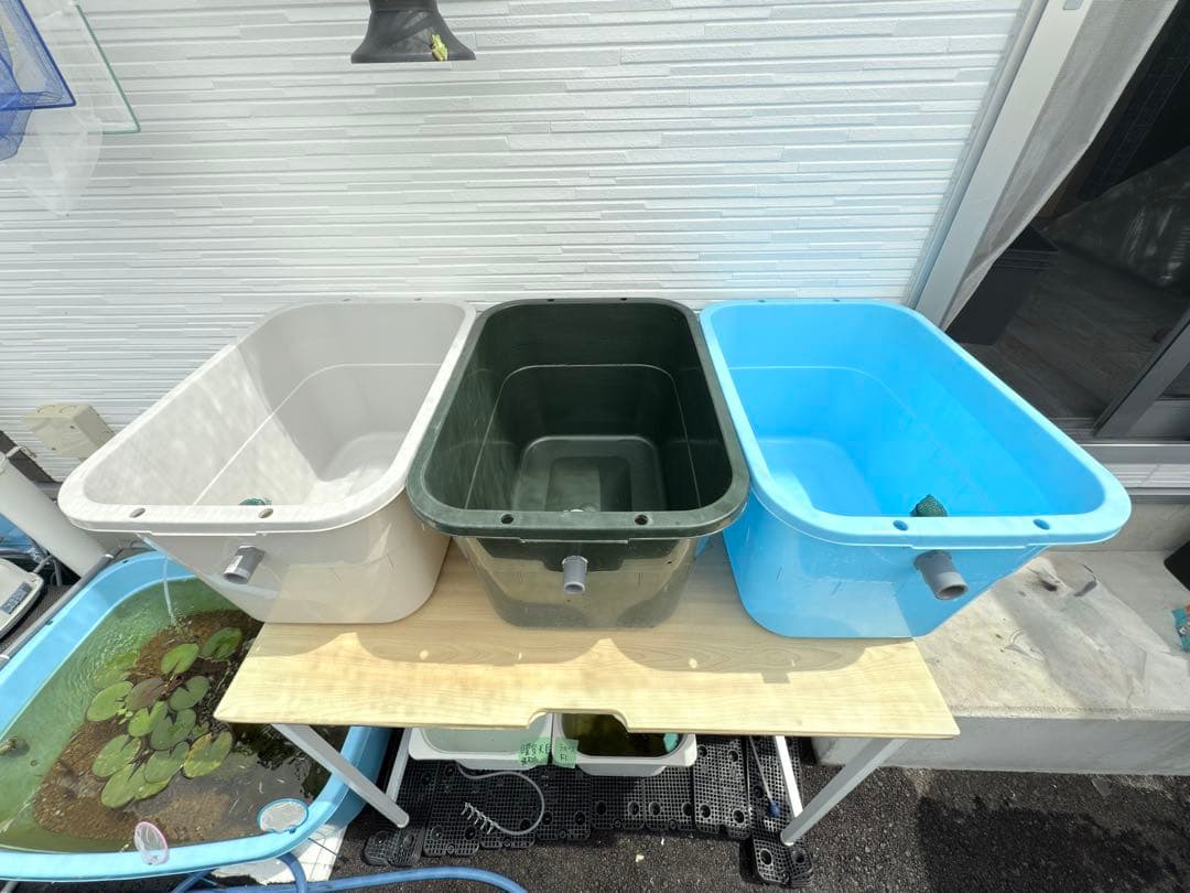 ★お買い得★たらい36L(3個)メダカ飼育容器オーバーフロー トロ舟プラ舟めだか