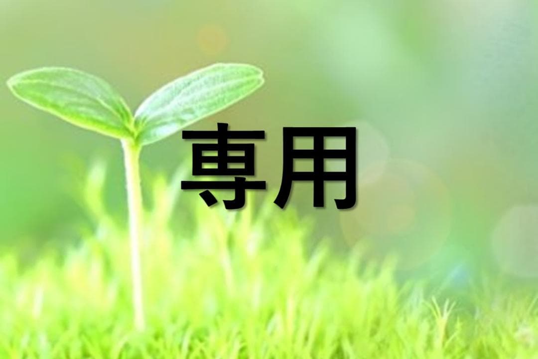 【未使用未開封】スノーピーク ランドステーションＬ