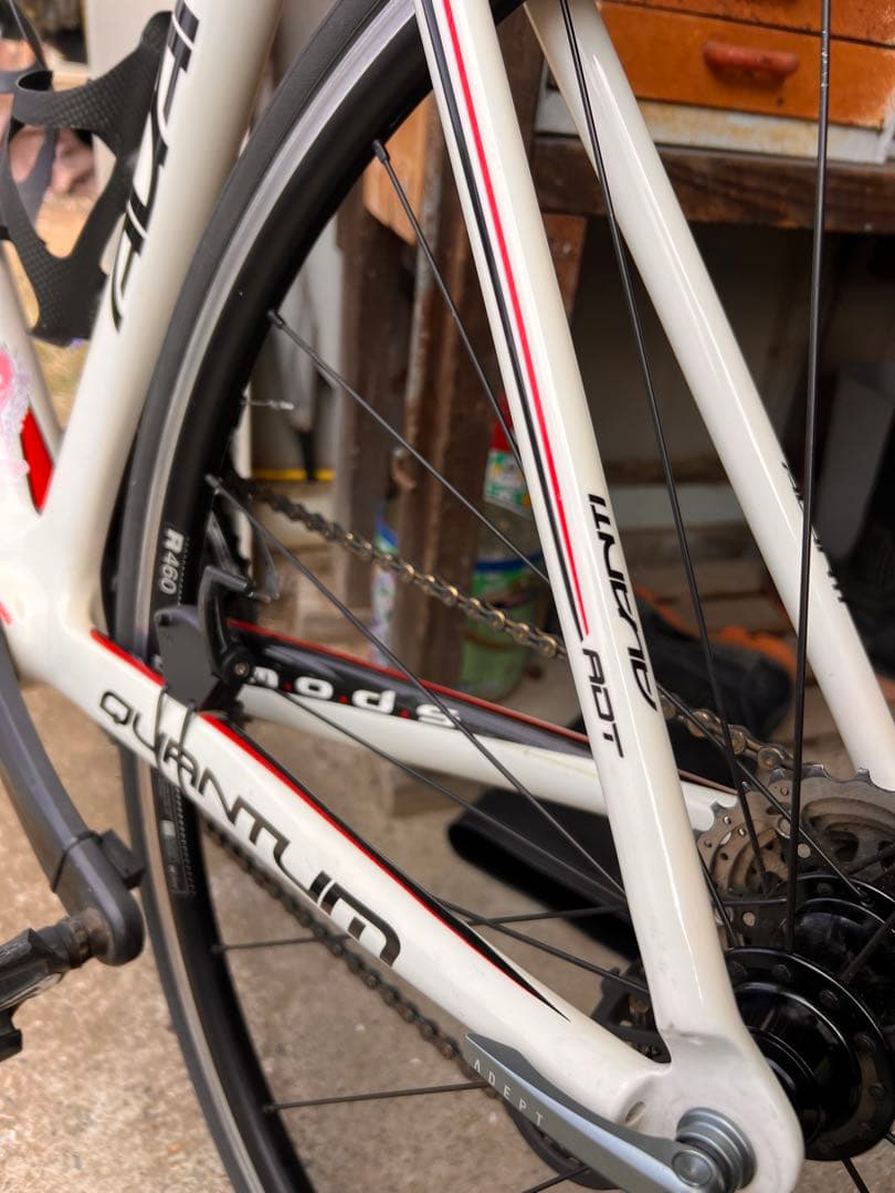 ロードバイク AVANTI QUANTUM 53.5cm バラ売り可 最終値下げ