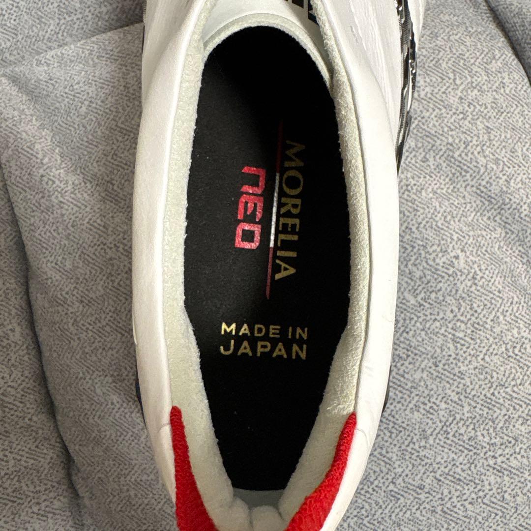 Yママ モレリアネオ4