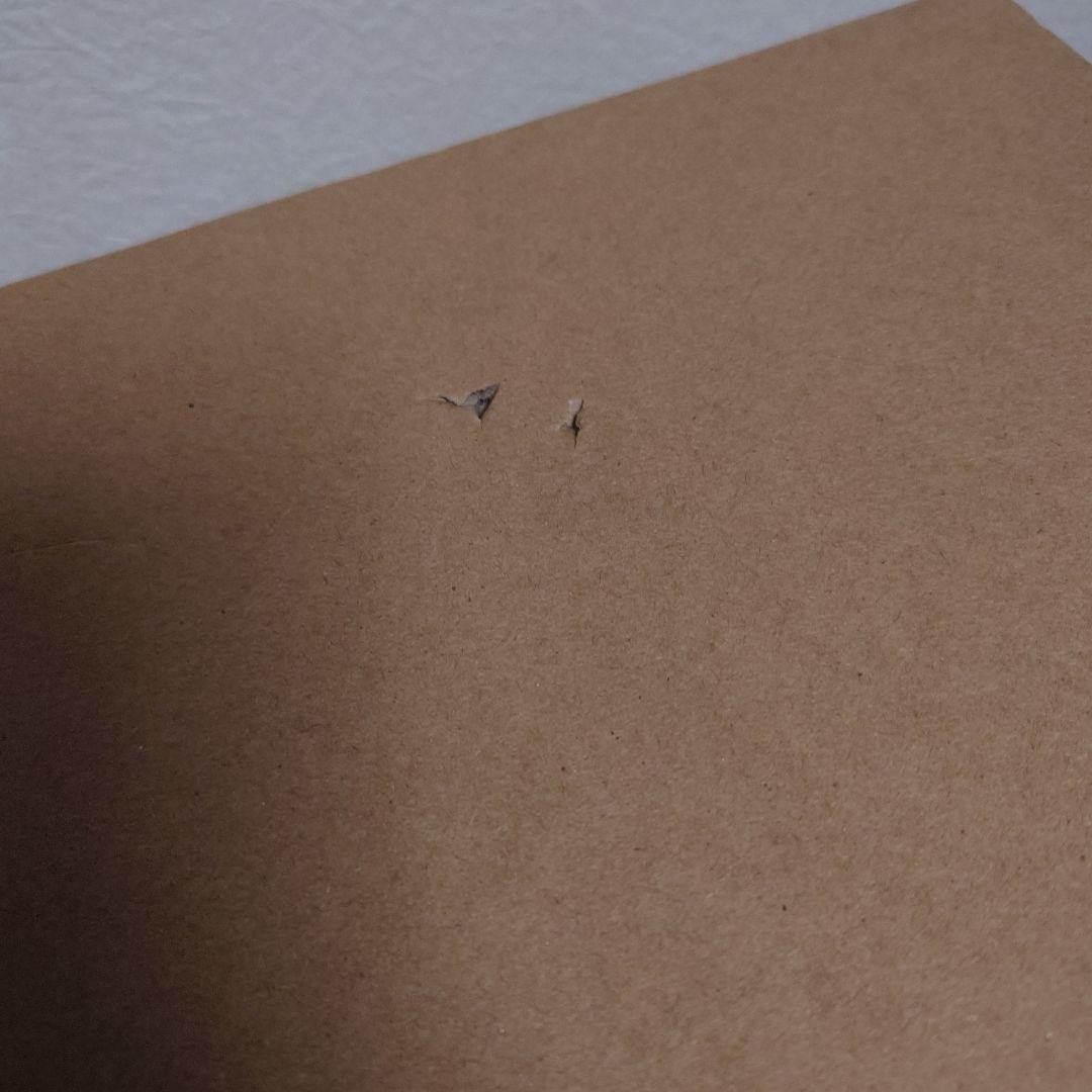 東宝30cmシリーズ ゴジラ(2016) アート展限定 黒龍工房 伝票跡無し