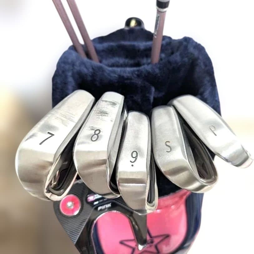 ゼクシオ　XXIO10 MP1000 レディース クラブセット 9本