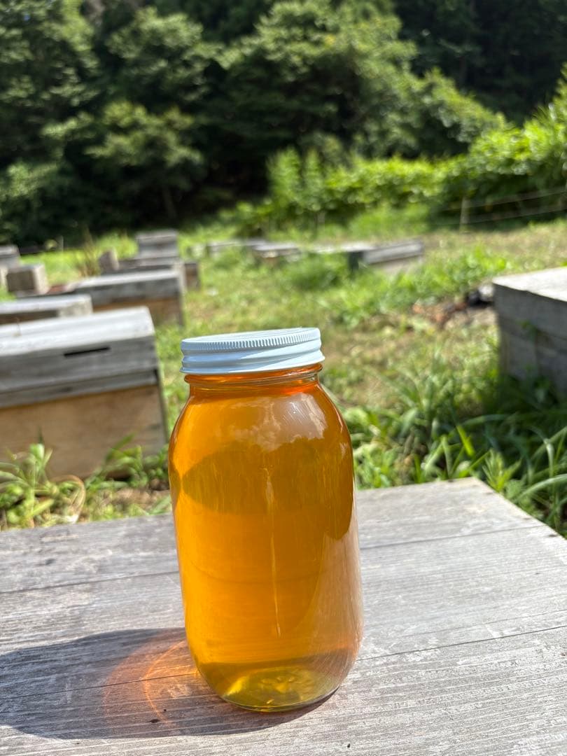 長野県長野市若穂保科で採れたはちみつ 1.2キロ 2本 ③