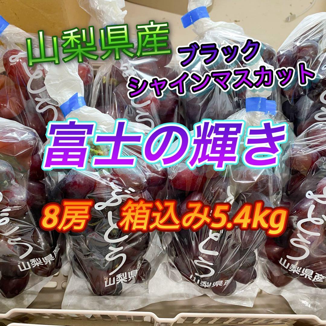 山梨県産　訳あり　家庭用　ぶどう　富士の輝き　8房　箱込み5.4kg ①