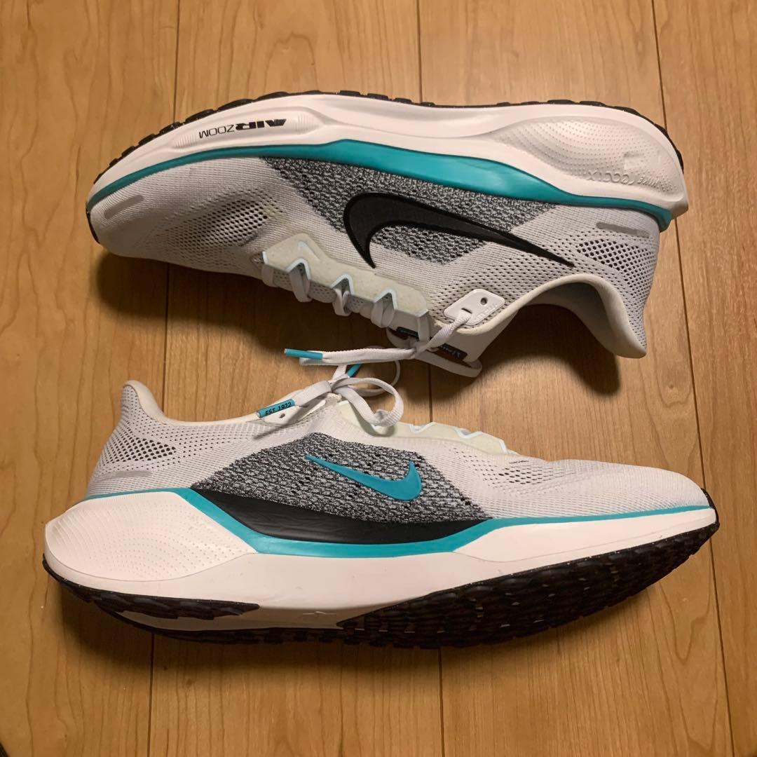 新品ナイキNIKEズームペガサス29cm