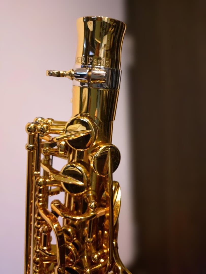 セルマー(Selmer)シュプレームアルトDARK GL(伊東たけし)選定品