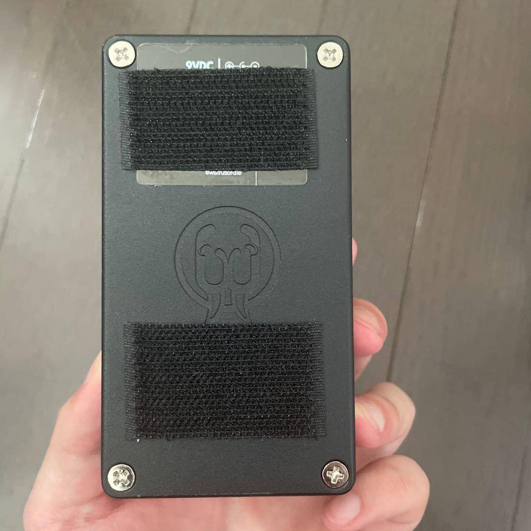 ギター WALRUS AUDIO CANVAS TUNER