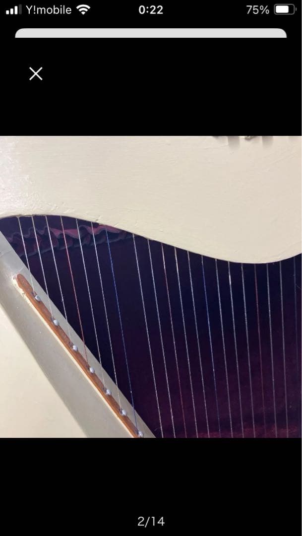 クリーム色ハープ、ソフトケース付き