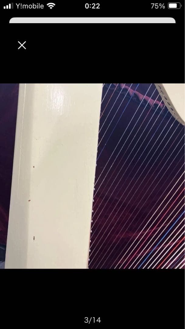 クリーム色ハープ、ソフトケース付き