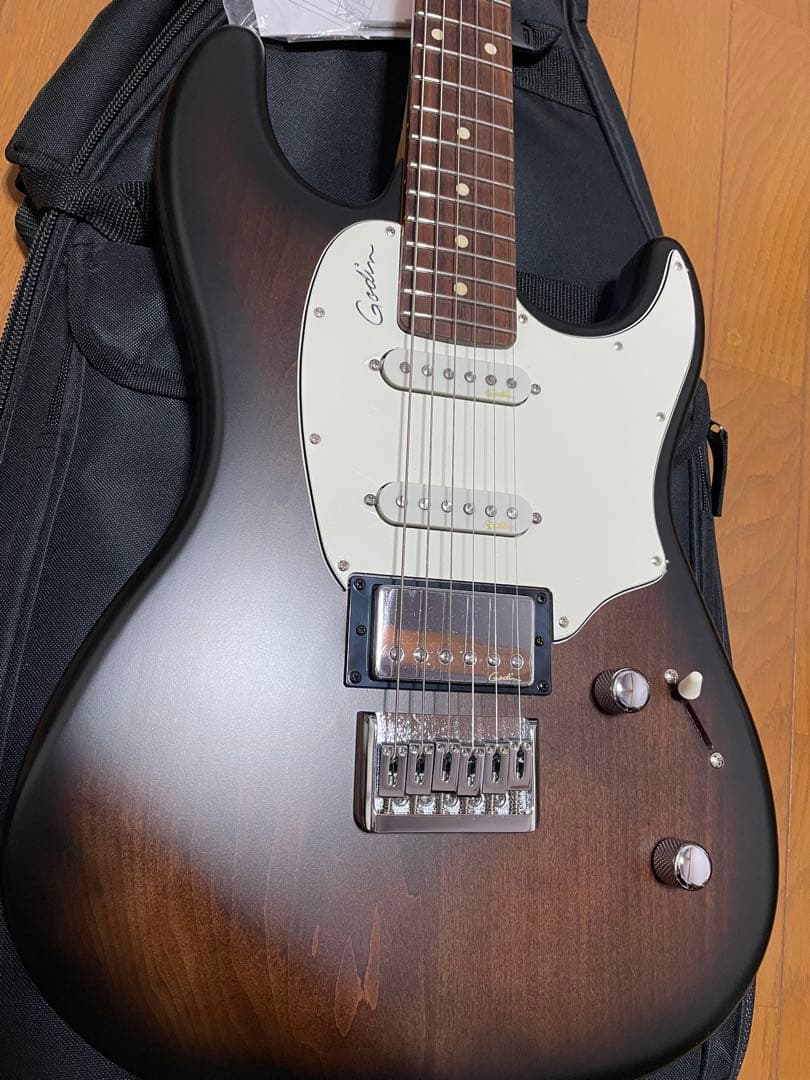 美品　ゴダン　Godin Session HT ストラト
