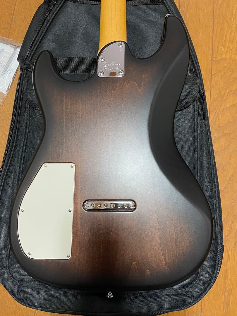 美品　ゴダン　Godin Session HT ストラト