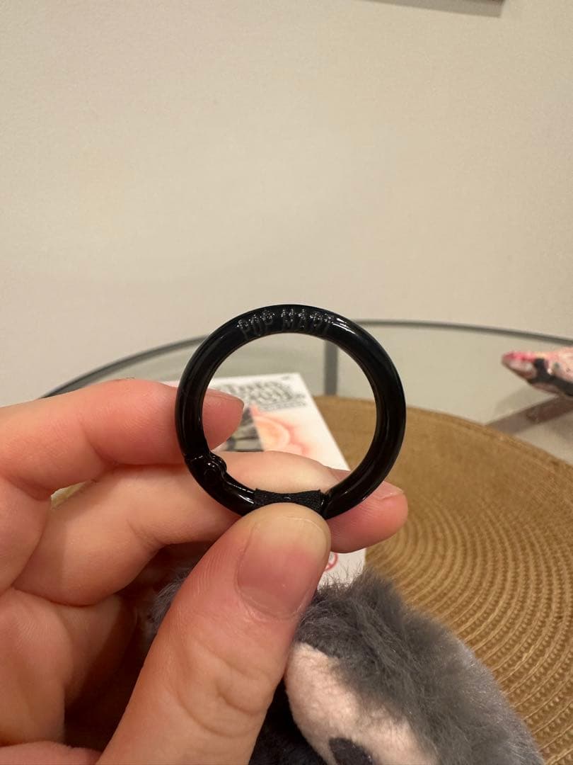 【正規品】 LABUBU Big into Energy シークレット