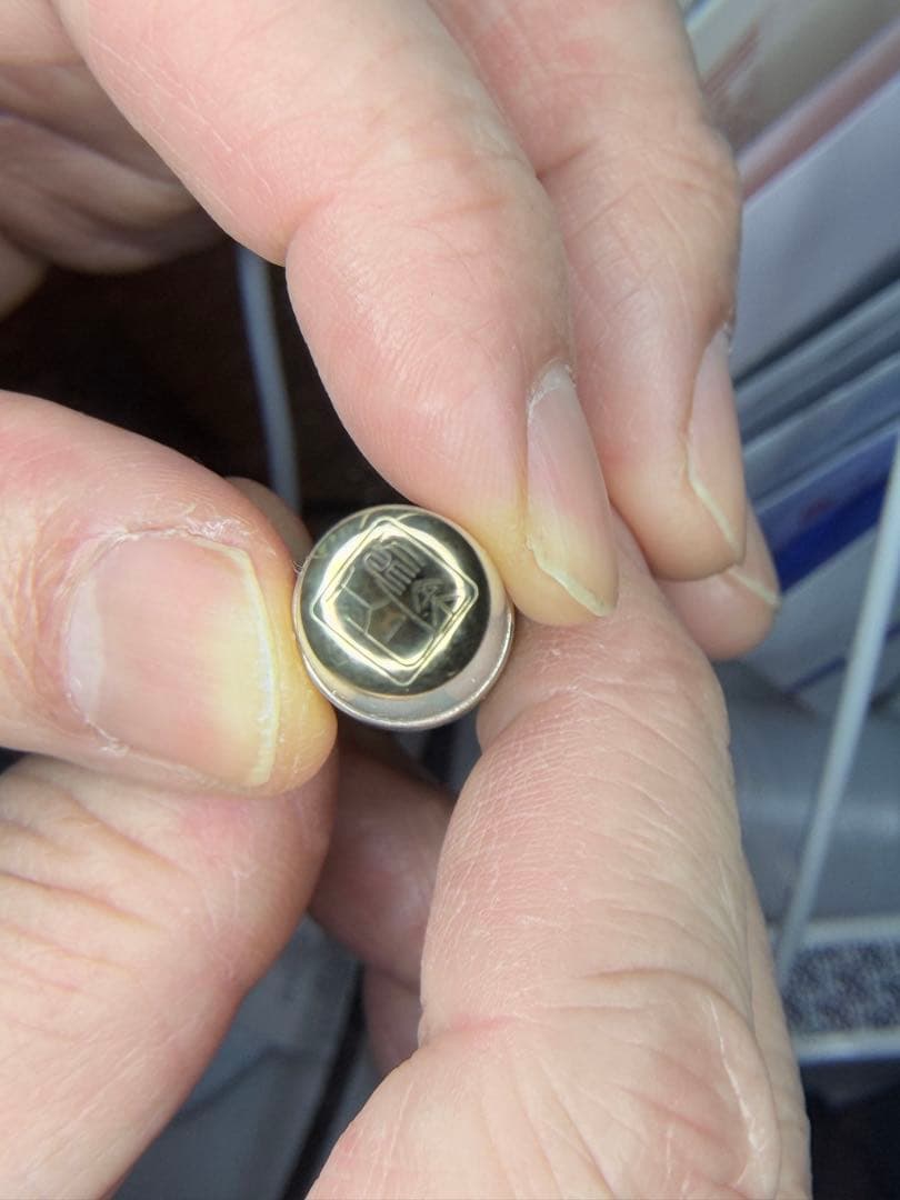 Pelikan ペリカン リミテッドエディション M1101 嫦娥奔月 M