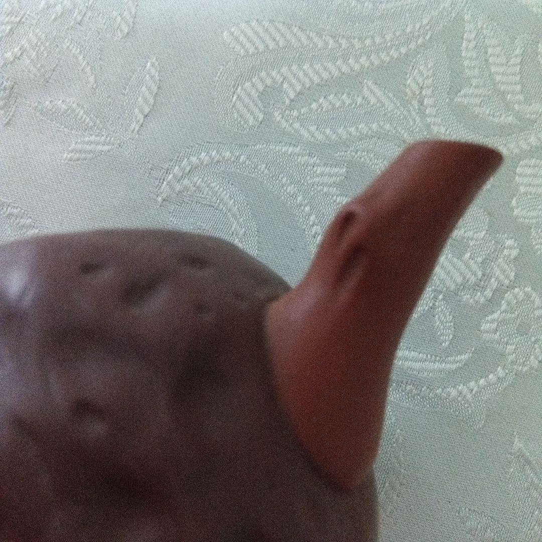 中国宜興　紫砂　急須 茶壺　在銘　煎茶道　リスのモチーフ