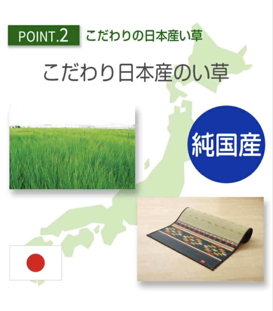 イケヒコ 畳 ヨガマット ソフトネイティブ柄 ネイビー アース ブルー系