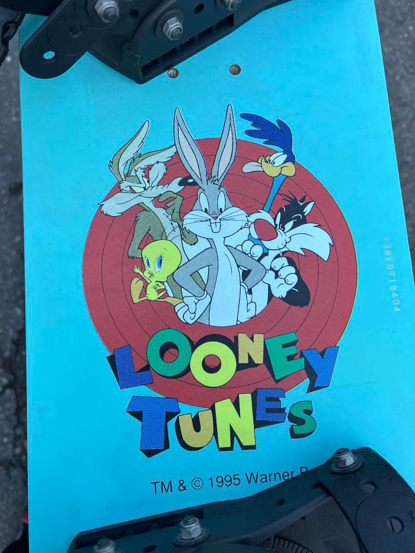 激レア‼︎ LOONEY TUNES ‼︎ ROAD RUNNER‼︎