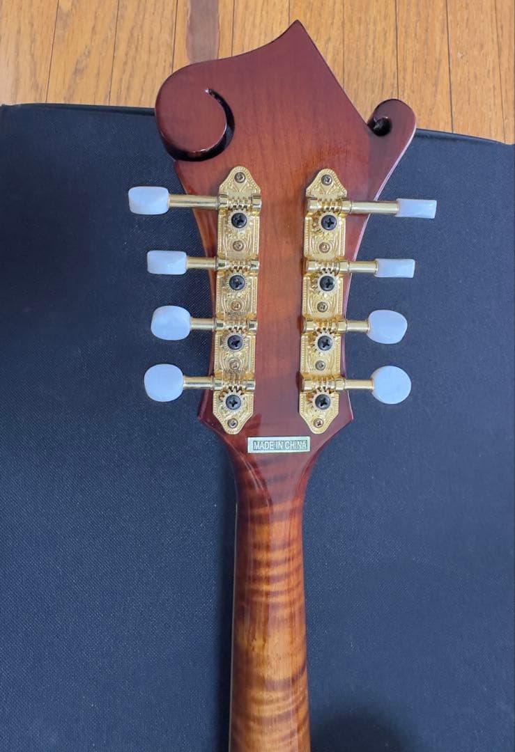 STAFFORD Traditional マンドリン 本体 ハードケース付き