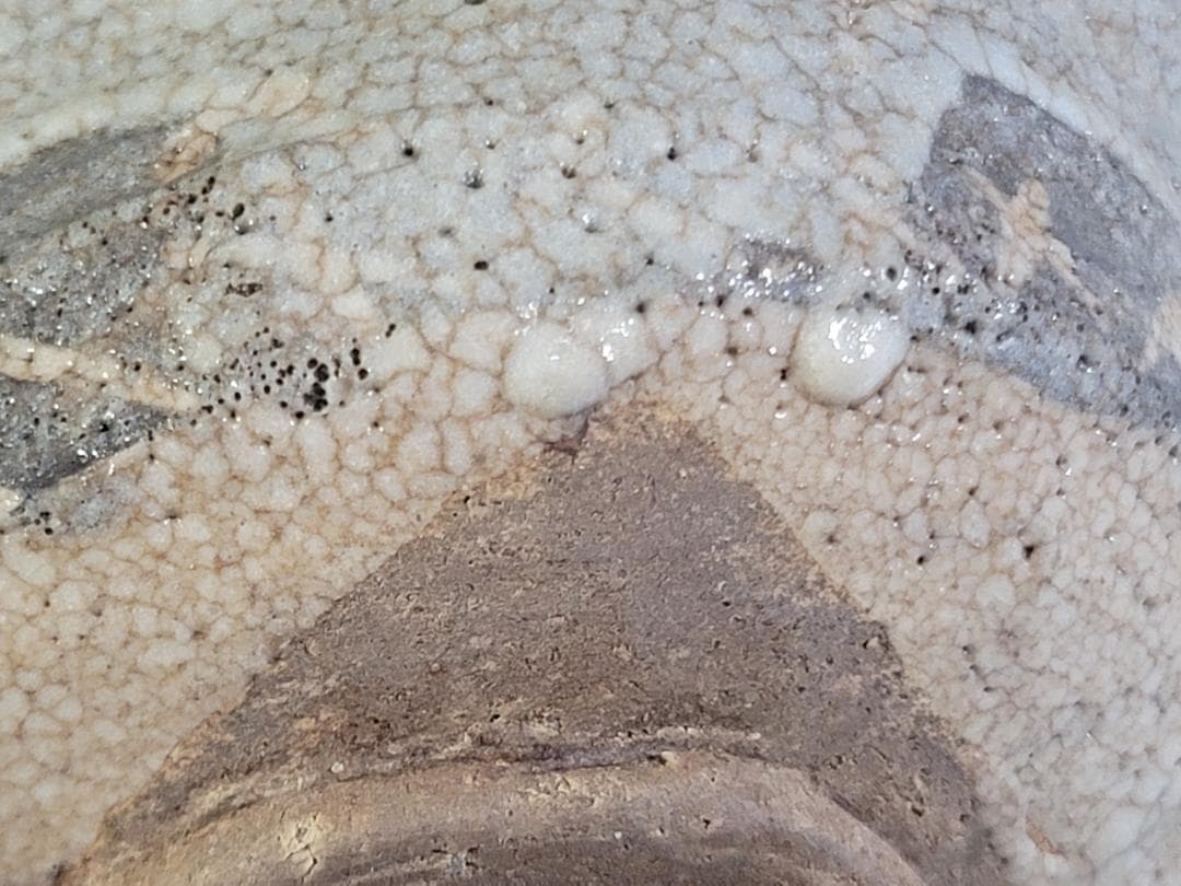 茶道具 鼠志野沓茶碗 時代物 古美術 DT457