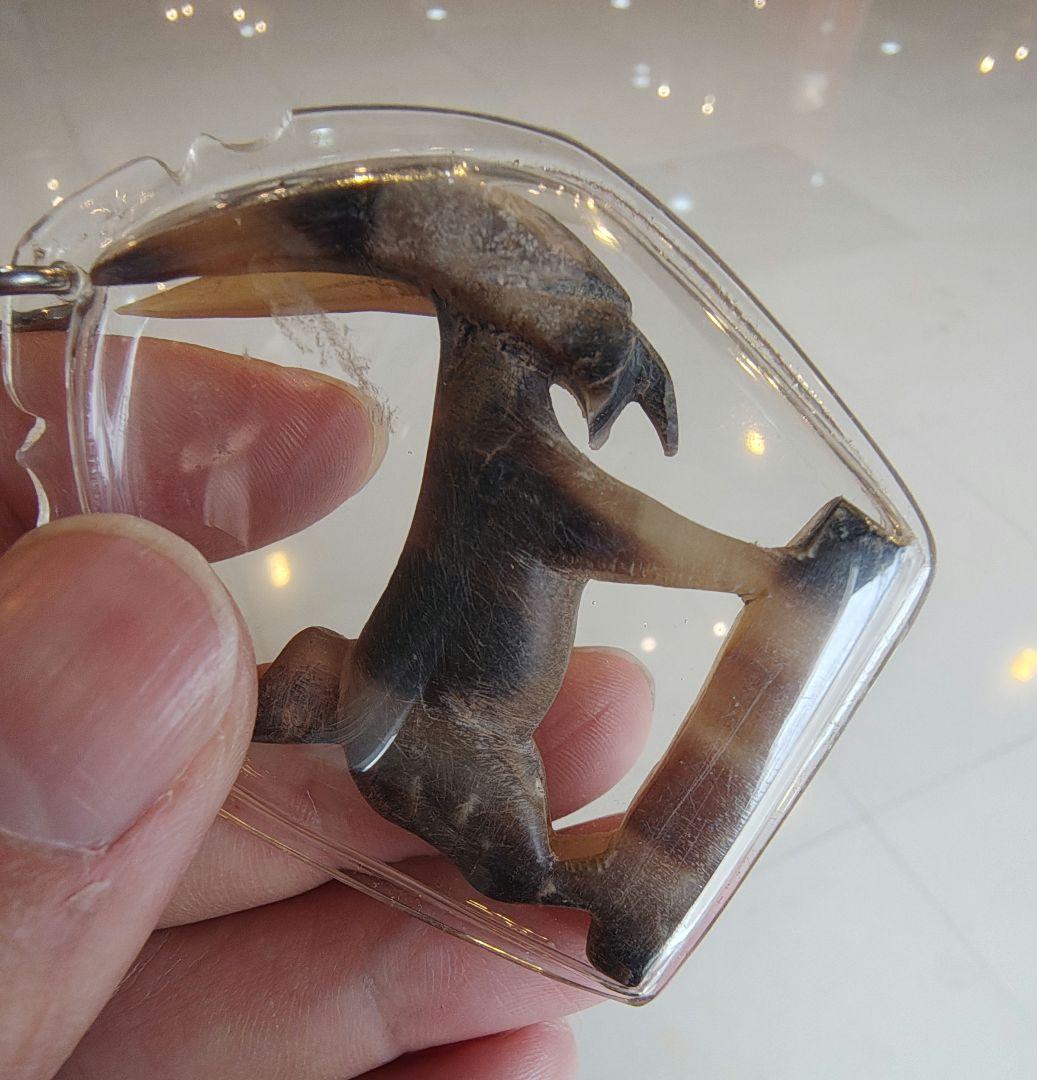 タイのお守りプラクルアン！牛！商売繁盛&金運&体力向上！専門店購入！