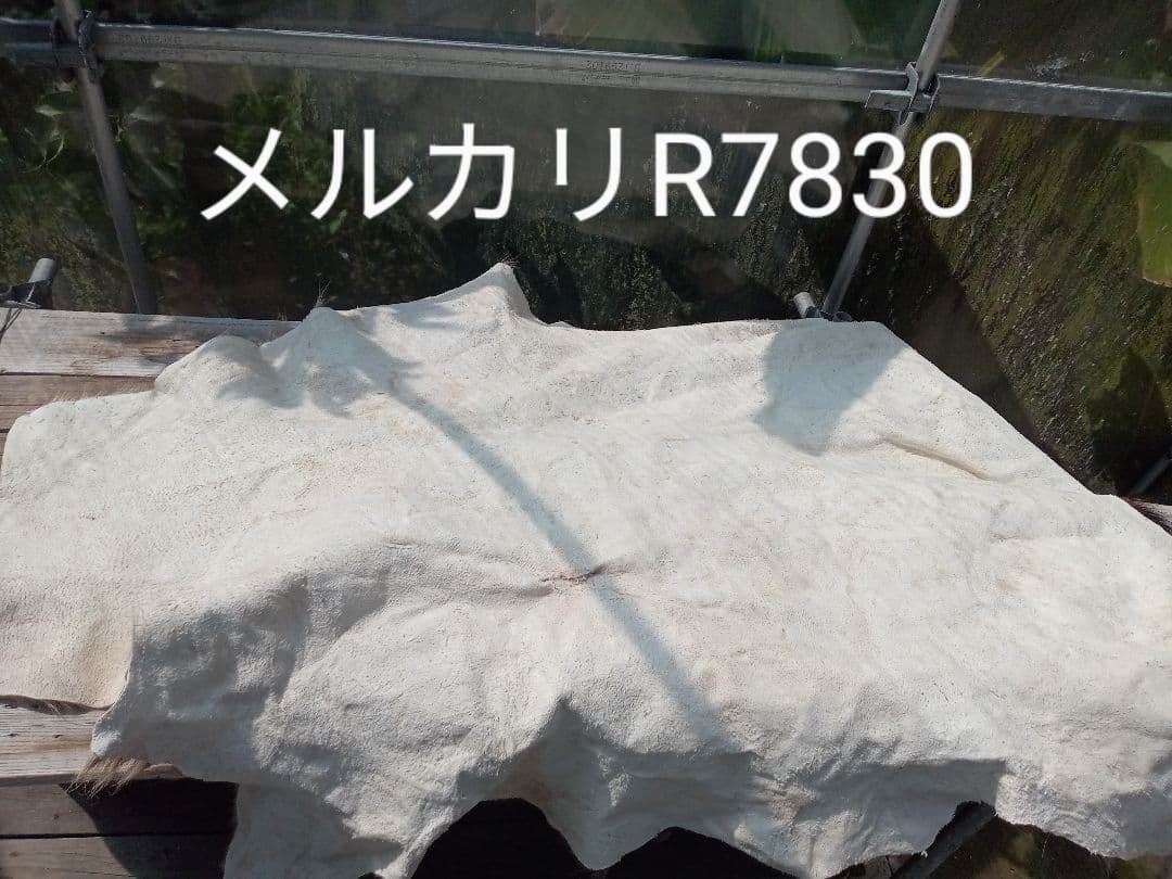 特上　天然日本鹿　夏毛　ラグ