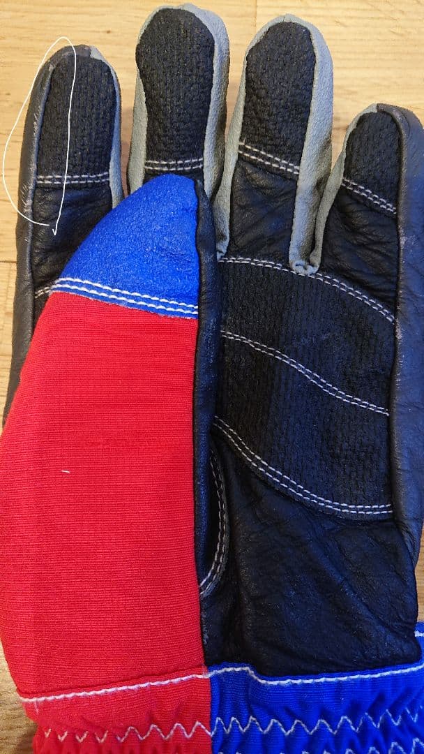 激レア ellesse スキーフランス代表 ココリコ スキーグローブ L レア