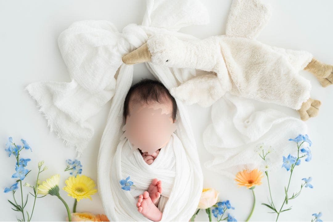 SENGER Naturwelt / ゼンガーナチュウェルト ガチョウSサイズ