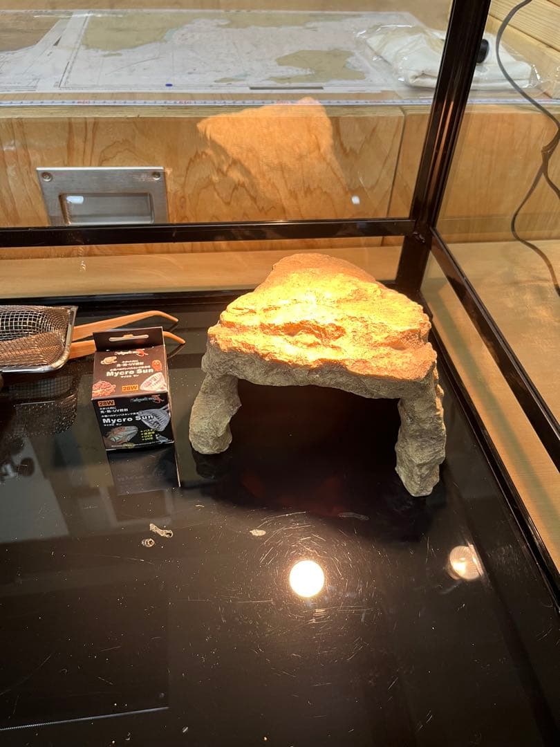 パンテオン6045 飼育オールインワンセット