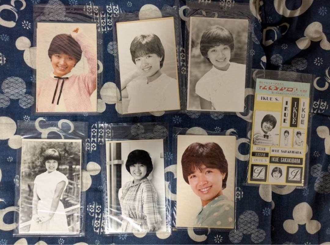 【貴重】榊原郁恵　パンフレット　グッズ　ブロマイド