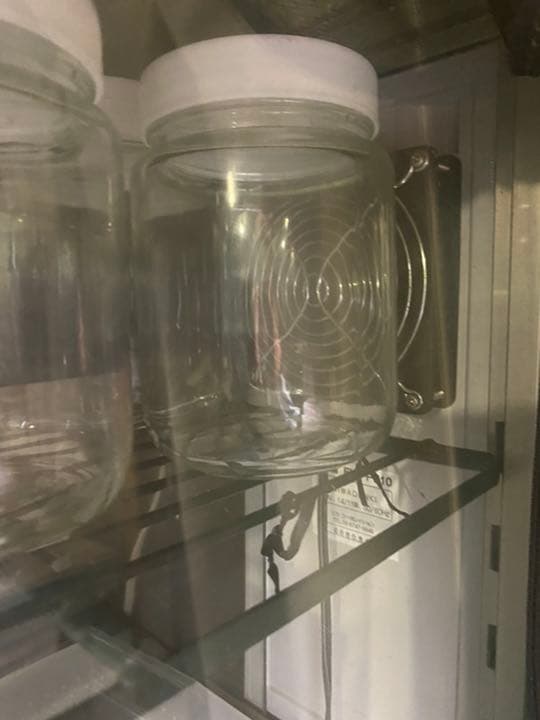 昆虫ブリードセット一式